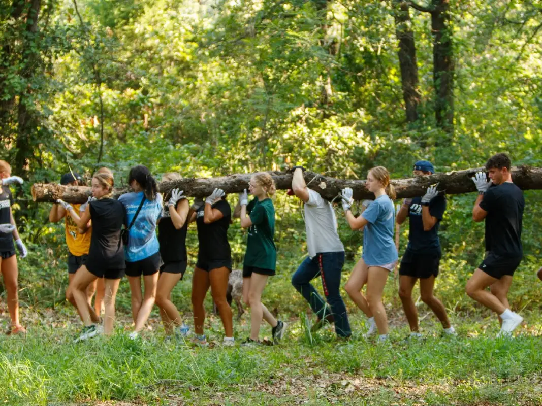 A group of about ten young people are working together to carry a long, heavy log through a sun-dappled forest. They are lined up on both sides of the log, wearing casual athletic clothes and work gloves as they walk together along a grassy path. The dense green trees in the background create a bright, natural setting for this team-building activity.